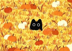 a black cat sitting in the middle of a field full of pumpkins