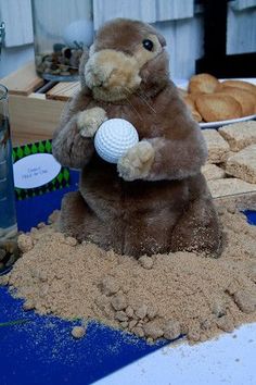 a stuffed animal holding a golf ball on top of some sand in front of other items