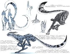 some drawings of different animals that are in the same position, including an animal with long legs