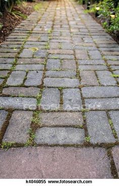 a stone path with grass growing on it