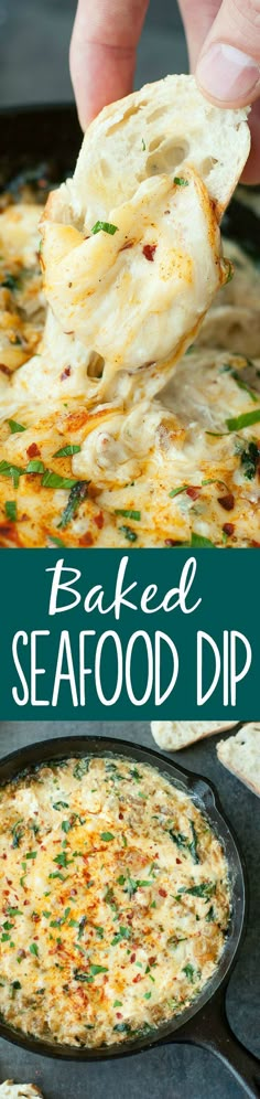 this baked seafood dip is the perfect appetizer for any meal