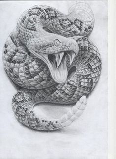 a pencil drawing of a snake with it's mouth open and its tongue out