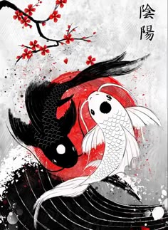 Black And White Koi Fish, White Koi Fish, Koi Fish, Koi, Fish, Black And White, Red, White, Black