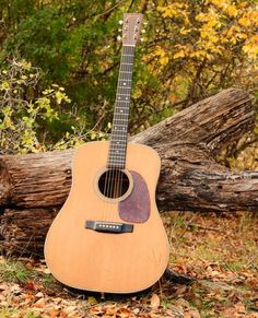 an acoustic guitar sits on the ground in front of fallen trees and leaves, with fall foliage around it