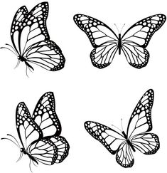 four butterflies flying in the sky royalty photo and royalty illustration art iste, butterfly drawing,