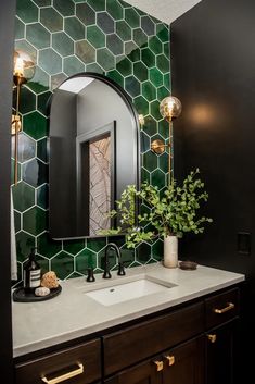 a bathroom sink with a mirror above it and a plant on the counter in front of it