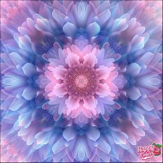 an image of a blue and pink flower in the middle of it's petals