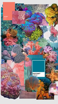 a collage of corals and sea creatures with blue, pink, orange, and green colors