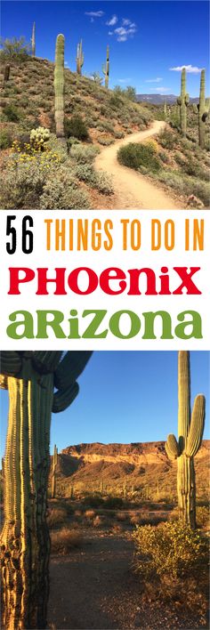 the arizona desert with text overlay that reads 6 things to do in phoenix arizona