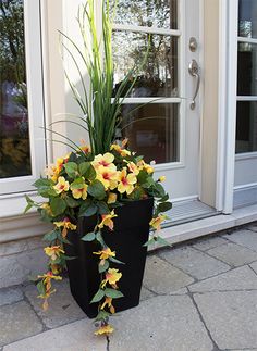 a potted plant with yellow and red flowers in front of a door