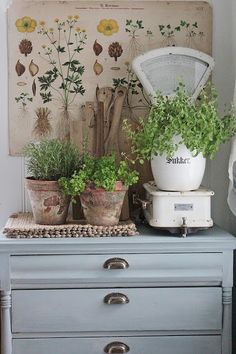 an old dresser with some plants on it