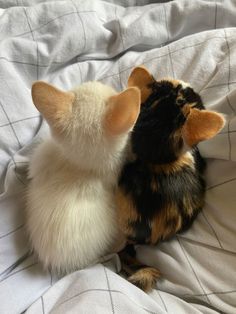 two stuffed animals laying on top of a bed