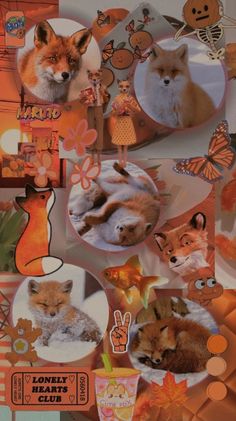 a collage of pictures with different animals and flowers on it's side, including an orange background