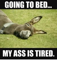 Donkey Funny, Slaap Lekker, Running Humor, Funny Animal Quotes, A Donkey, Going To Bed, Funny Cartoon Quotes, Sarcastic Quotes Funny, Cartoon Quotes