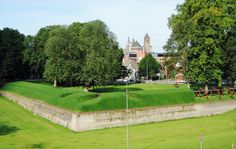 a large grassy area with trees and buildings in the background