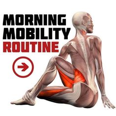 Back pain tips fast on Instagram: “💥 MOBILITY MORNING 💥 . ➡️XBox Stretch - For this exercise picture yourself in a square and reach for opposite corners with your top limbs.…” Exercise Picture, Back Pain Stretches, Back Stretches For Pain, Good Monday, Working Together, Morning Routine, Back Pain, Songs, Instagram Photo