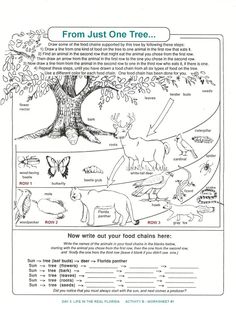 the tree worksheet for children to learn about animals and their habitat, which includes pictures