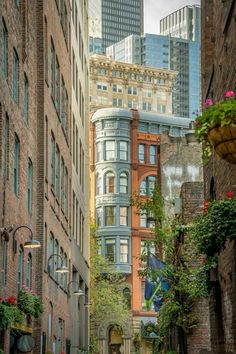 an alleyway in the city with tall buildings and flowers growing on it's sides