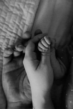 a black and white photo of a baby's hands holding the hand of an adult