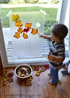 a young boy standing in front of a window with fall leaves on the ground next to it