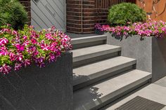 some flowers that are sitting in concrete planters