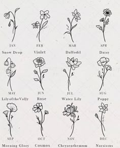 flowers of the month | Creative Tattoos Flowers Pin BY  Haylee Burk Tato Geisha, Tato Minimal, Flower Tattoo Ideas, Tattoo Forearm, Muster Tattoos, Petite Tattoos, Birth Flower Tattoos, Cute Little Tattoos, Feminine Tattoo