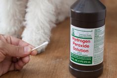 a person holding a toothbrush next to a bottle of hydrogen peroxide solution