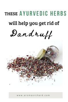 Ayurvedic herbs for dandruff cure, try these herbs to get rid of dandruff. In this post, you will also find herbs for all hair problems including hair fall and itchy scalp. Ayurvedic herbs for hair growth. #hairgrowth #growhair #ayurvedicherbsforhair #hairherbs #dandrufftips #hairfall Ayurvedic Herbs For Hair, Remedies For Hair Fall, Natural Hair Fall, Hair Fall Solution, Getting Rid Of Dandruff, Ayurvedic Remedies