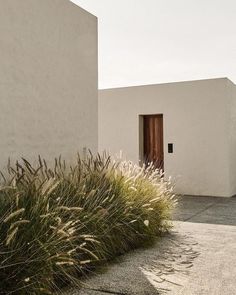 a white building with two doors and some plants