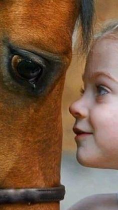 Cai Arabi, Regnul Animal, Eye Close Up, Family Pic, Horse Face, Horse Farm, Close Up Photography, Horse Photos, Pretty Horses