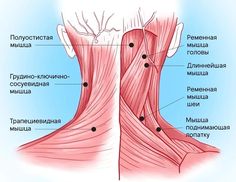 Occipital Neuralgia, Human Anatomy Drawing, Trigger Points, Massage Techniques