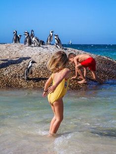 South Africa With Kids, Ocean Restaurant, Famous Lighthouses, Cape Point, Boulder Beach, Colonial Times, Picnic Bench, Table Mountain, Poor People