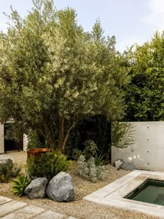 a small pool surrounded by rocks and plants in a garden area with a large tree