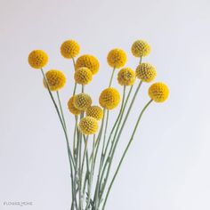 a bunch of yellow flowers are in a vase