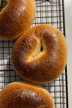 three bagels sitting on top of a cooling rack