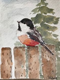 a watercolor painting of a bird sitting on top of a wooden fence with pine trees in the background