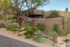 a desert landscape with cactus, cacti and rocks in front of a house