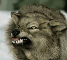 an image of a wolf with yellow eyes