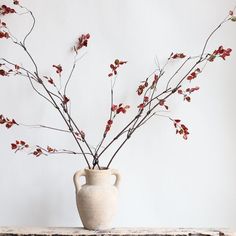 a vase filled with red flowers sitting on top of a wooden table next to a white wall