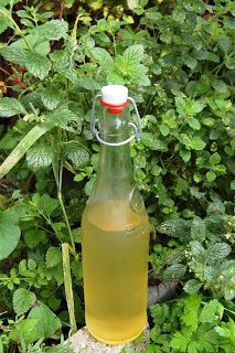 a bottle of liquid sitting on top of a rock next to some green plants and bushes