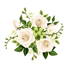 a bouquet of white roses and green leaves on a white background stockvectors