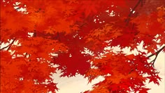 red leaves are on the branches of a tree