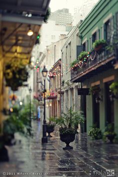 an image of a city street with potted plants on the sidewalk and buildings in the background