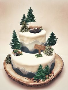 a three tiered cake decorated with trees and snow on a wooden slice, sitting on a table