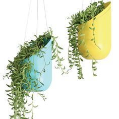 two hanging planters filled with green plants