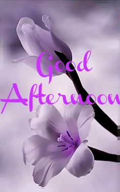 two purple flowers with the words good afternoon written on them in front of a sky background