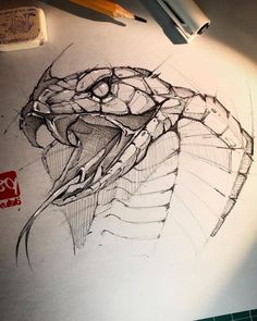 a pencil drawing of a snake's head on top of a piece of paper