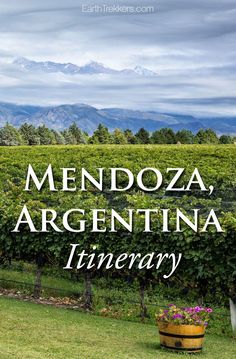 the words mendoza argentina in front of a vineyard