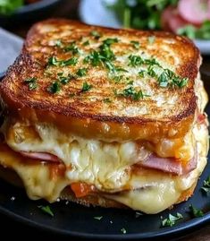 a grilled cheese sandwich on a black plate with parsley sprinkled around the edges