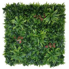 the top view of a green wall with leaves and flowers on it's sides